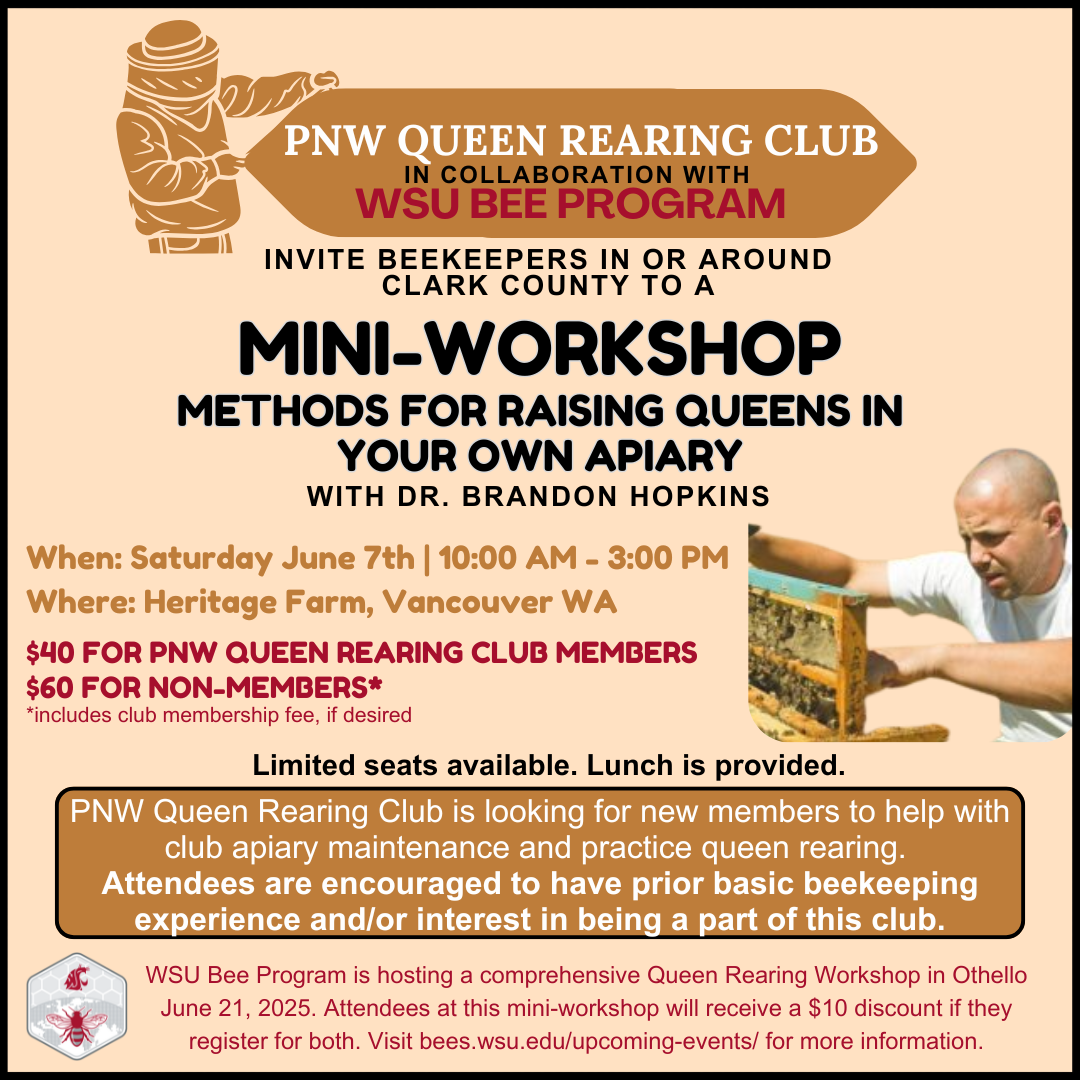 decorative ad for workshop