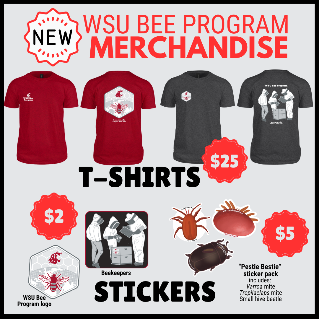 flyer with pictures of shirts and stickers