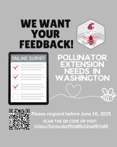 flyer advertising survey