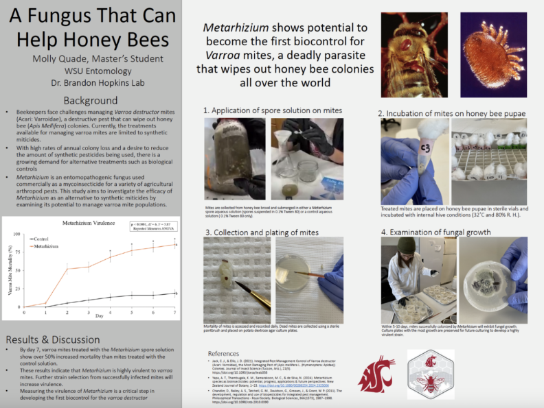 Molly Quade's "A Fungus that Can Help Honey Bees" poster.