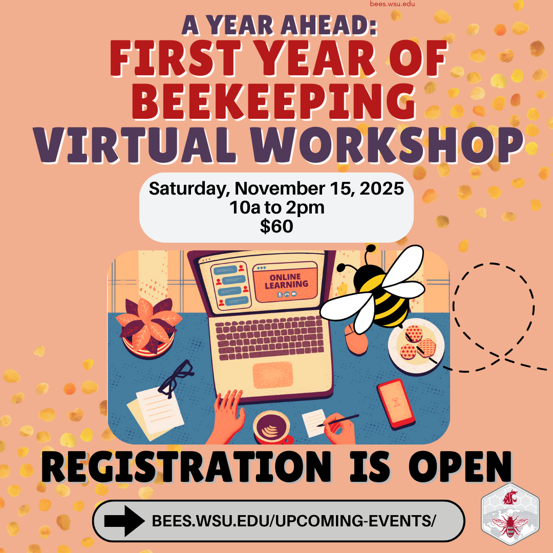 flyer for beginner beekeeper virtual workshop