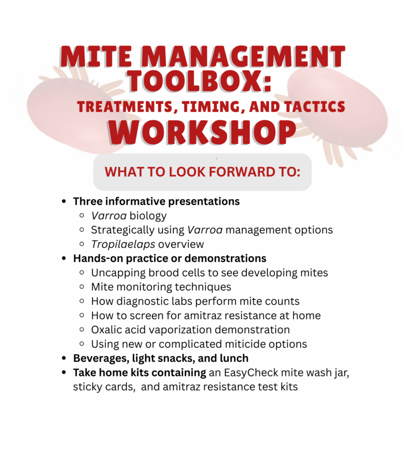 advertisement for workshop