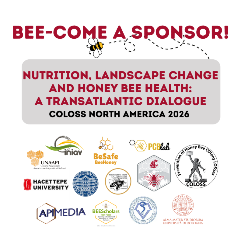 Decorative image that says "bee-come a sponsor"