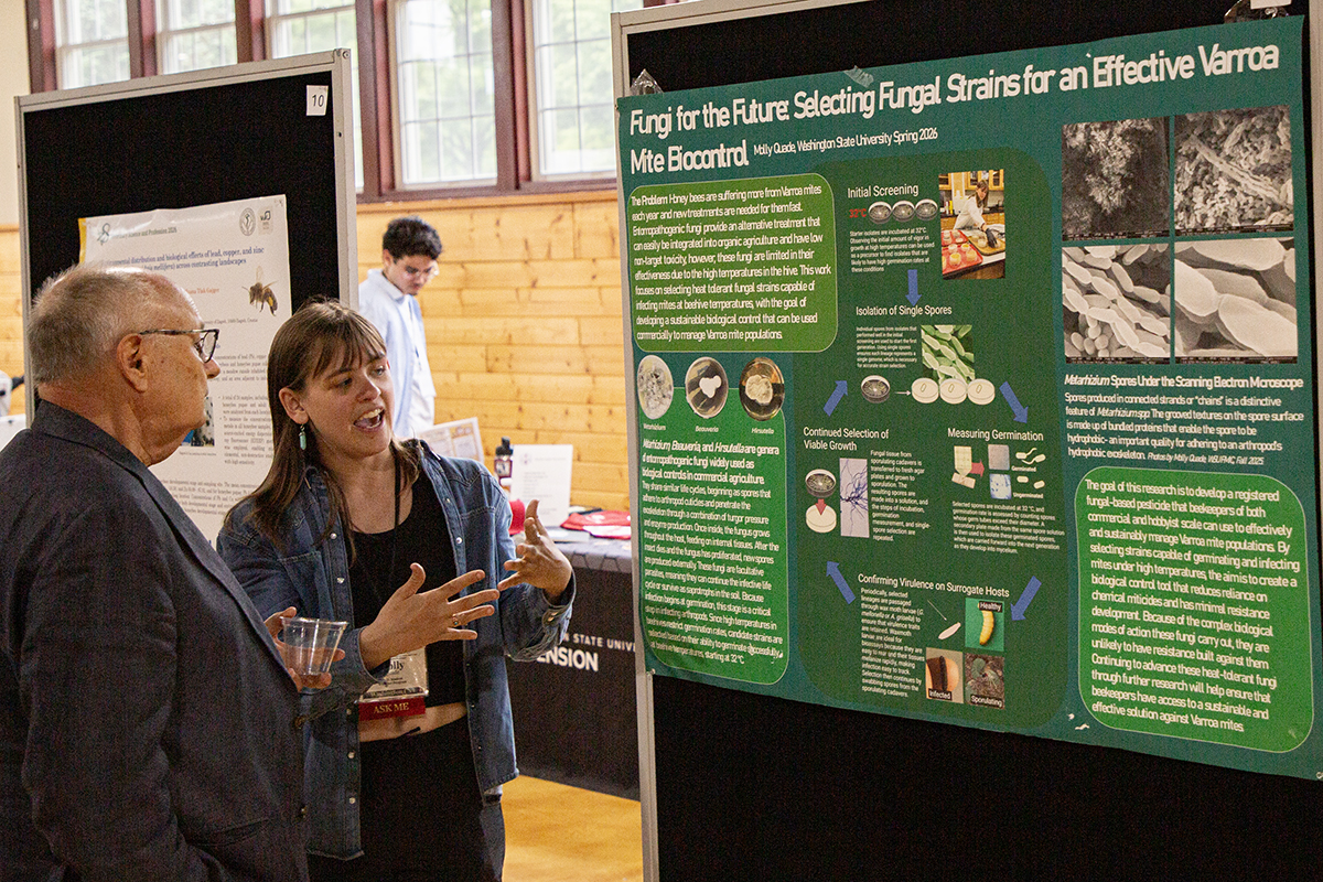 Molly Quade presenting at the poster reception during the 2026 Local COLOSS North America Conference in Pullman, WA (June 8, 2026). 