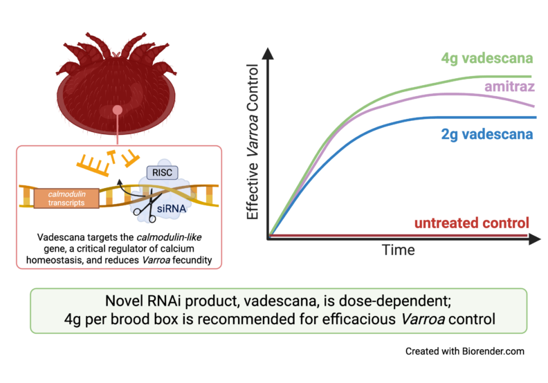 Graphical abstract from publication. 