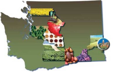 Washington Map with crops and vegetable pictures collaged together.