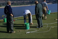 People conducting research on grass.