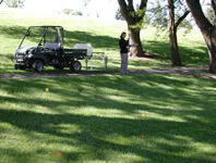 Lawn with a side by side and a person.