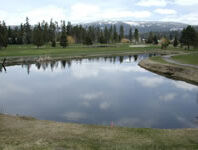 A pond with trees in the background.