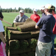 People standing around a pile of sod.