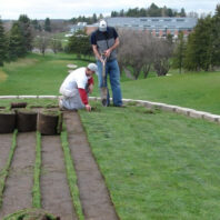People digging out sod.