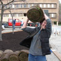A person holding a roll of sod.