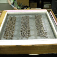 Thermogradient plate.