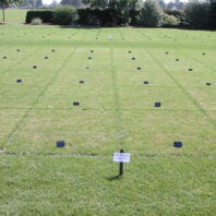 Multiple plots with markers.