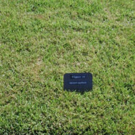 A plot with a marker.