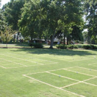 Turf plots and trees.