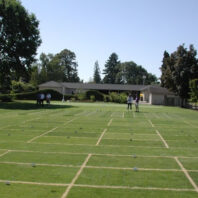 Turf plots with a building in the background.