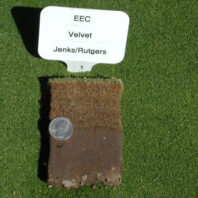 EEC velvet plots.