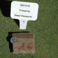 SR1019 creeping plots.