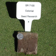SR 7000 colonial plot.