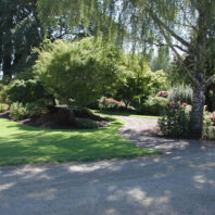 Grass with trees and paths.