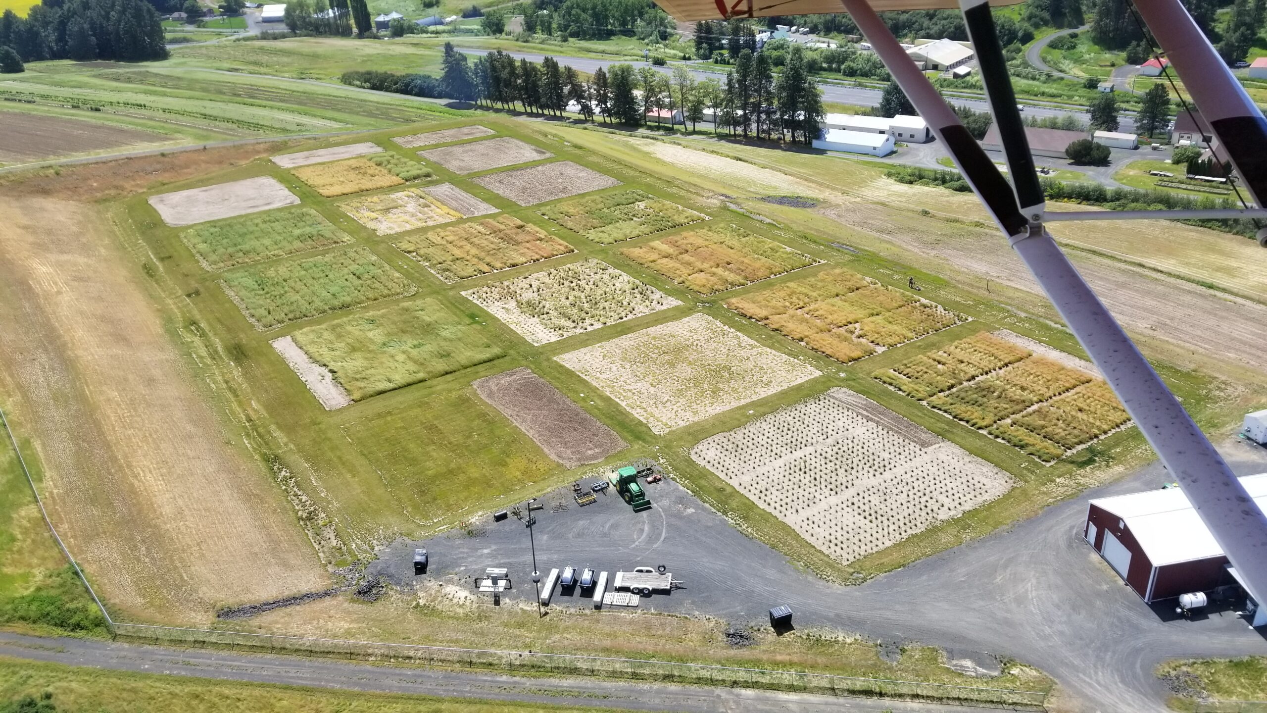 Overview of turfgrass plots.