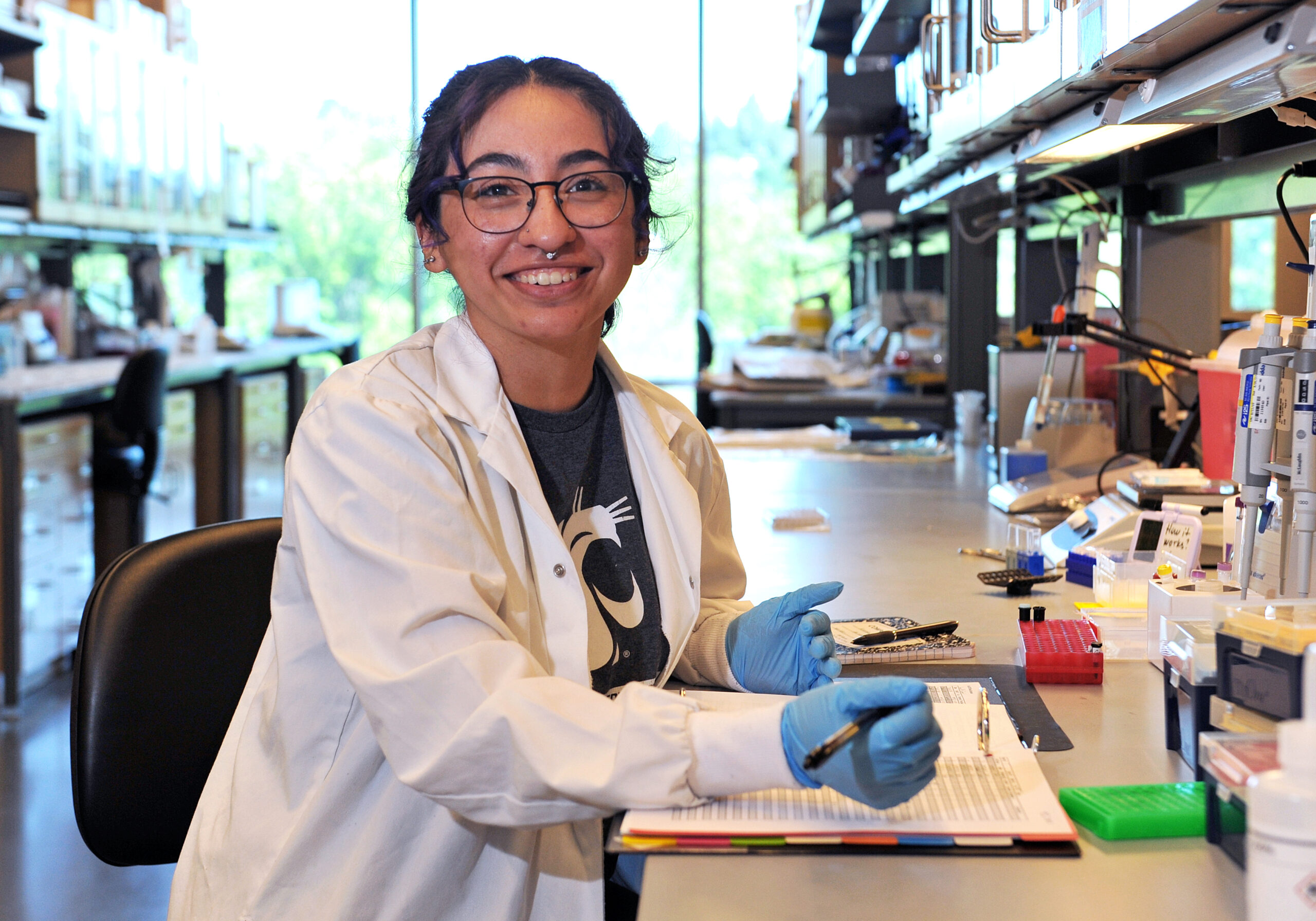 MARC student working in a biomedical lab at WSU.