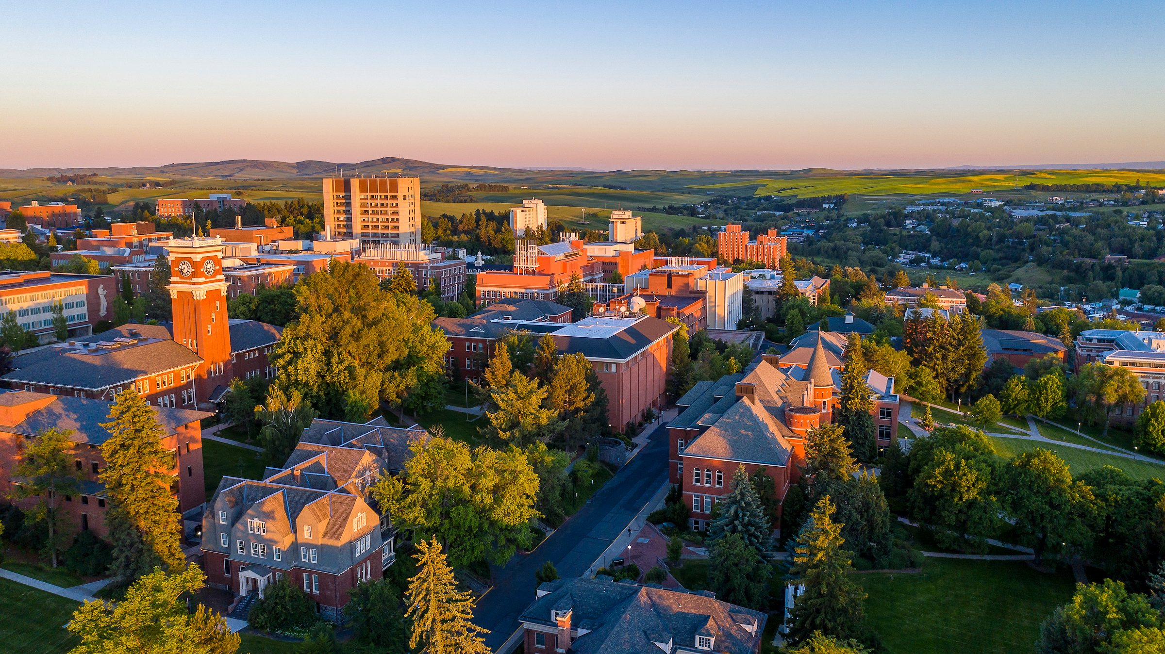 Aerial view of the WSU Pullman campus.