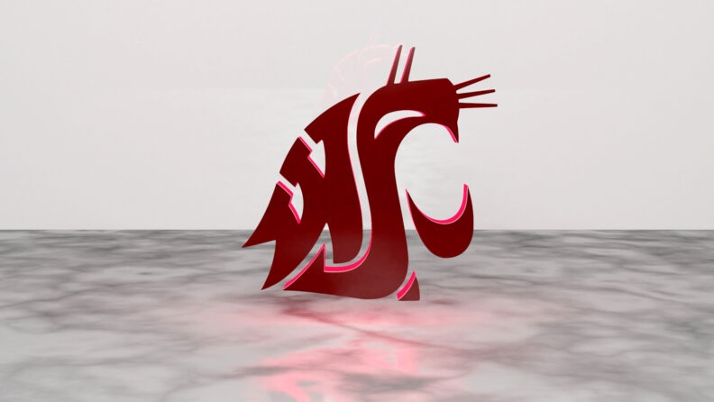 Washington State University Logo: W, S, U, letters create a cougar head.