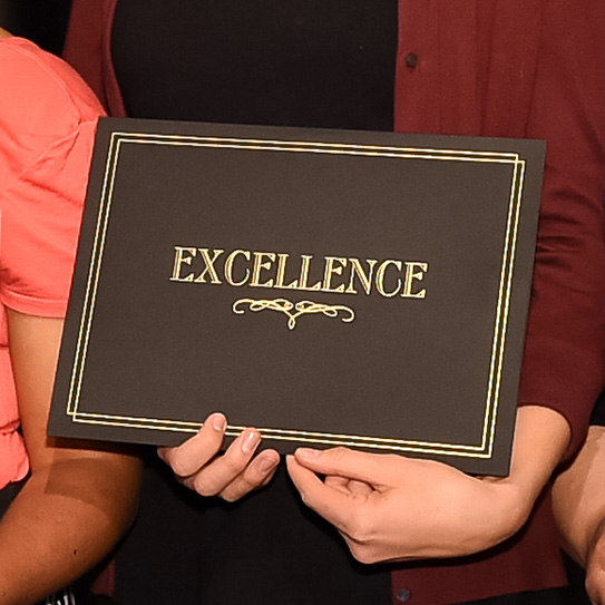 An award certificate holder showing the word 'excellence.'