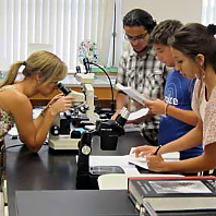 Students work with microscopes to collect visual data during a microbiology course.