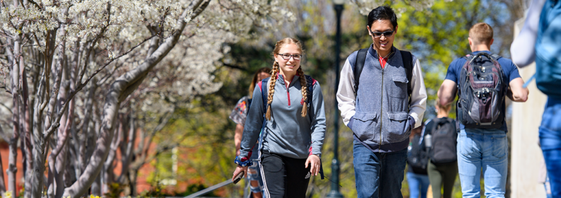 Students walking on WSU Pullman campus with flowering trees.