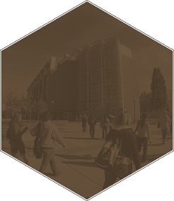 Visual depiction of the NILOA Transparency Framework Assessment Resources Component.