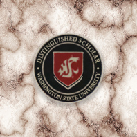 Distinguished Scholarships Program logo.