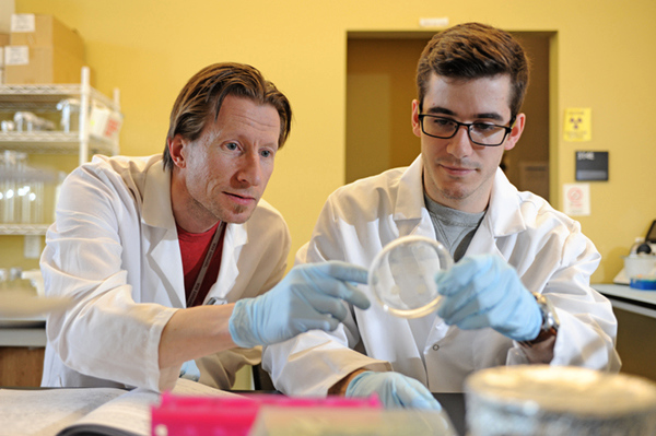 Goldwater 2018 winner Zachary Howard works with undergraduate research mentor Anders Omsland in the lab