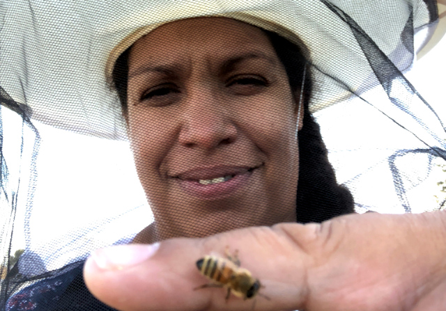 Fulbrighter and beekeeper Melanie Kirby holds up a honey bee that has lighted on her finger.