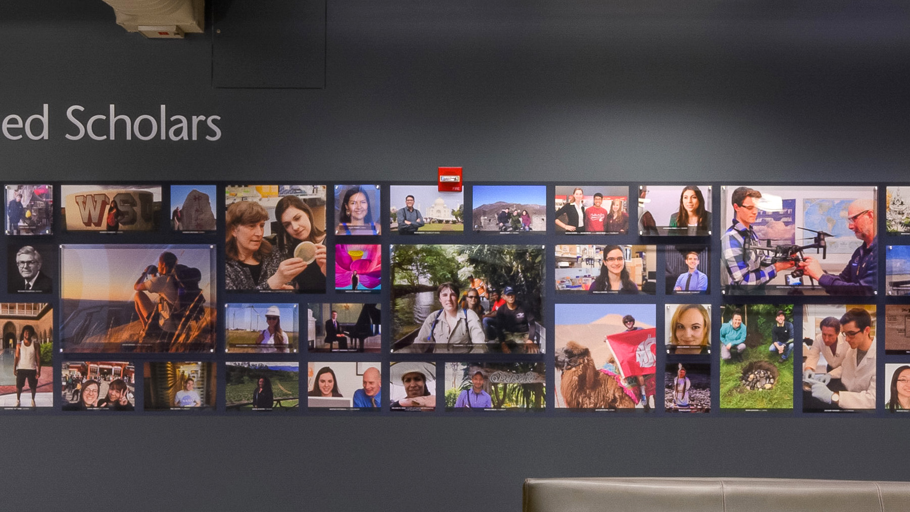Middle portion of the north wall of the Distinguished Scholars gallery.