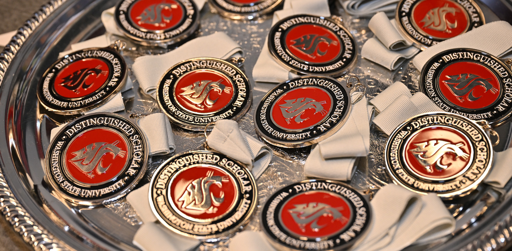 A tray of metal medallions handed out to award recipients at the Distinguished Scholars Celebration event. The medallions are gray, crimson, and black, feature the WSU Cougar Head, and say, “Distinguished Scholar, Washington State University.”