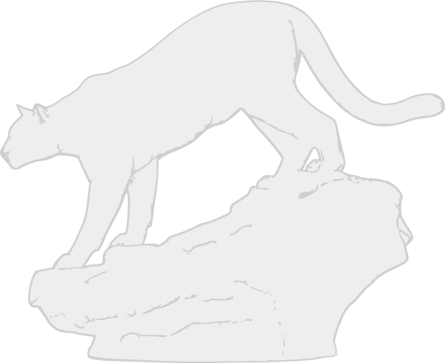 Semi-transparent artistic silhouette depicting the iconic bronze Cougar Pride sculpture.