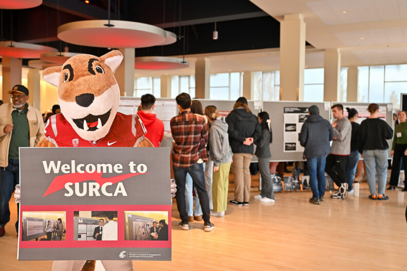Life size cutout of WSU‘s Butch Cougar mascot holding a welcome to SURCA sign that greeted attendees at the 2024 event.