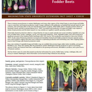 Vegetable Fodder and Forage Crops for Livestock Production: Fodder Beets