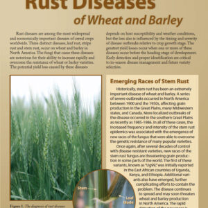 Identifying Rust Diseases of Wheat and Barley