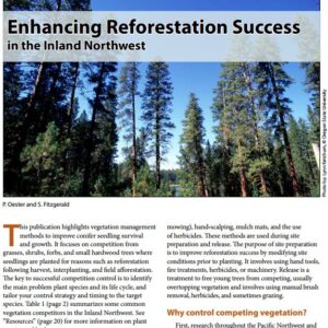 Enhancing Reforestation Success in the Inland Northwest