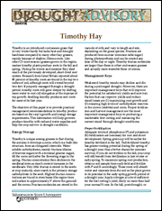 Drought Advisory Series: Timothy Hay