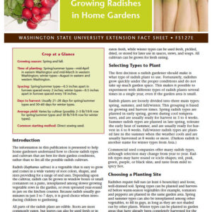 Growing Radish in Home Gardens (Home Garden Series)