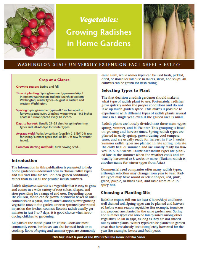 Growing Radish in Home Gardens (Home Garden Series)