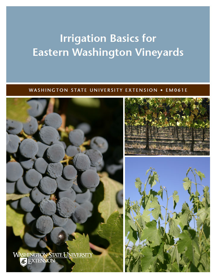 Irrigation Basics for Eastern Washington Vineyards