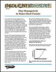 WSU Drought Advisory: Hop Management in Water-Short Periods