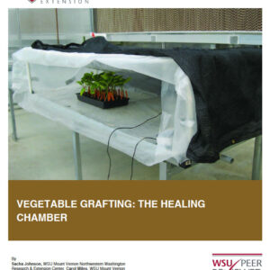 Vegetable Grafting: The Healing Chamber
