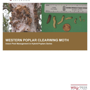Western Poplar Clearwing Moth: Insect Pest Management in Hybrid Poplars series
